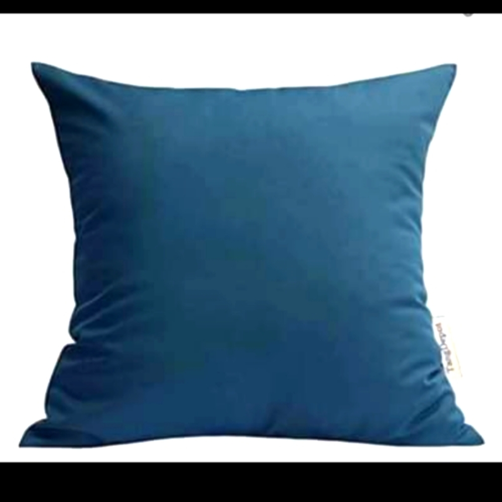 NEW Pillow covers